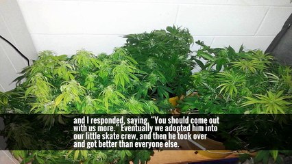 For an Assignment About Camping at Walmart, the Photographers Had to Camp Out, Too