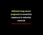 Asbestos Lung Cancer Prognosis  Asbestos Lung Cancer Prognosis Tips and Guide