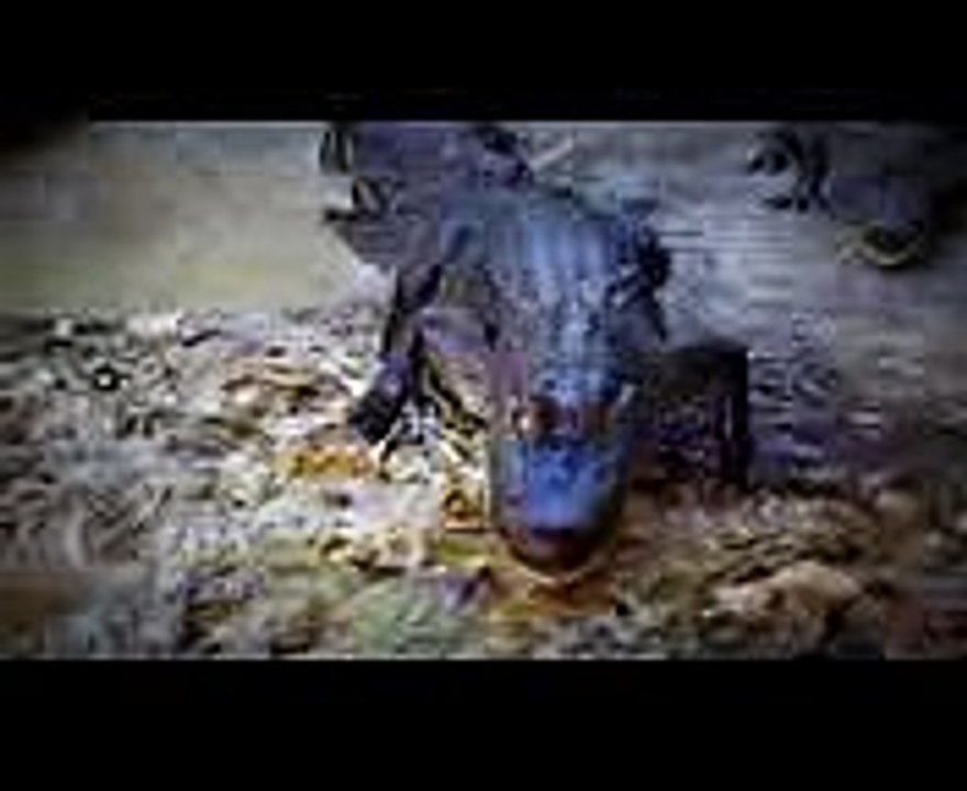 Lafayette Personal Injury Lawyers  Gordon McKernan Injury Attorneys