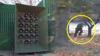 [취재N팩트] 북한군 귀순 알리는 대북확성기, 효과있나? / YTN