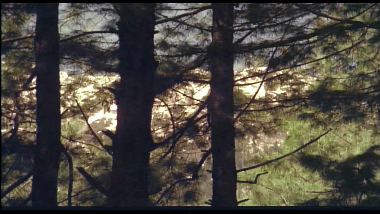 Dil Dhoondta Hai - Mausam  Bhupinder Singh & Lata Mangeshkar  Sanjeev Kumar & Sharmila Tagore