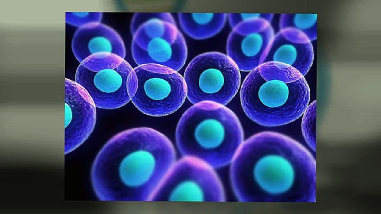Stem Cell Boca Raton