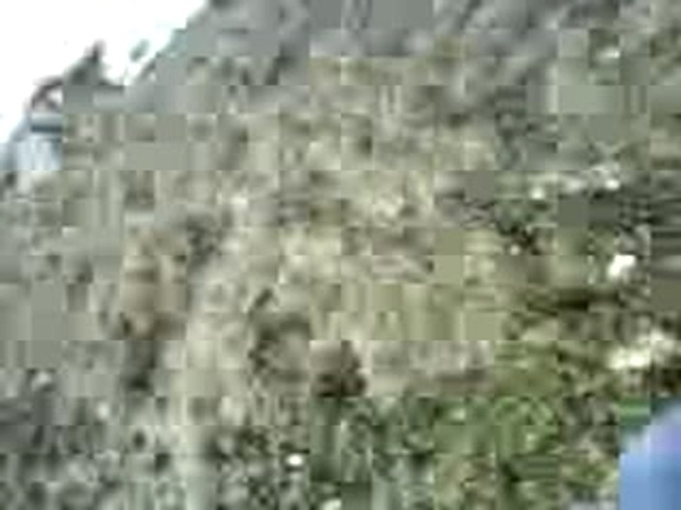 MOV00046