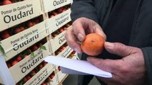 Gaspillage alimentaire: Même à Rungis, on trie