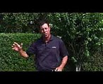 Golf Tips  Golf Tips for Better Iron Shots & Control