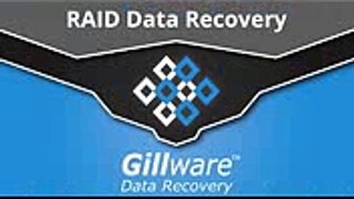 RAID Data Recovery (2)