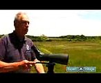 Get Started with Bird Watching  How to Use a Telescope for Bird Watching