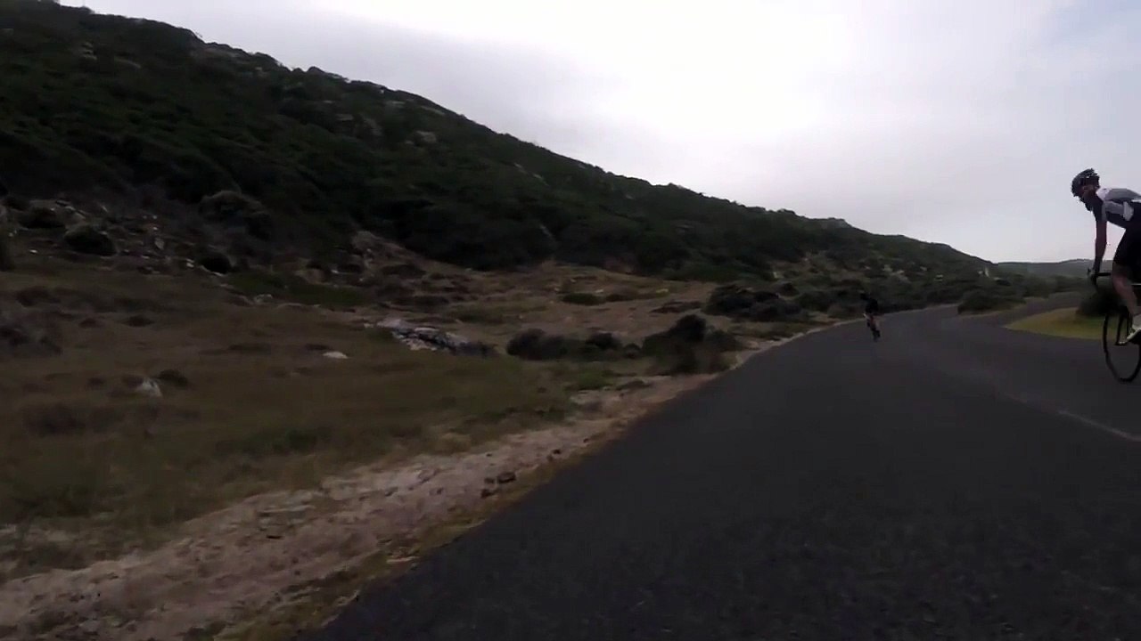Des cyclistes se font poursuivre par une autruche sur la route !