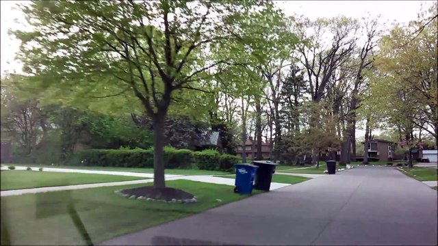 DETROIT'S MOST BEAUTIFUL NEIGHBORHOOD