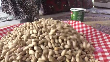 Antep Fıstığını Konya'da Üretip Gaziantep'e Satıyorlar