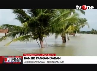 Banjir Pangandaran, 400 Hektar Sawah Terendam Air