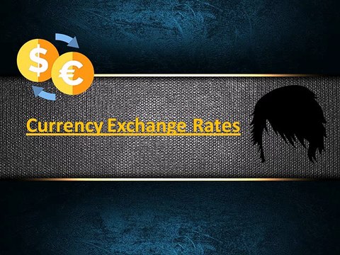 Did you know these factors influence currency exchange rates