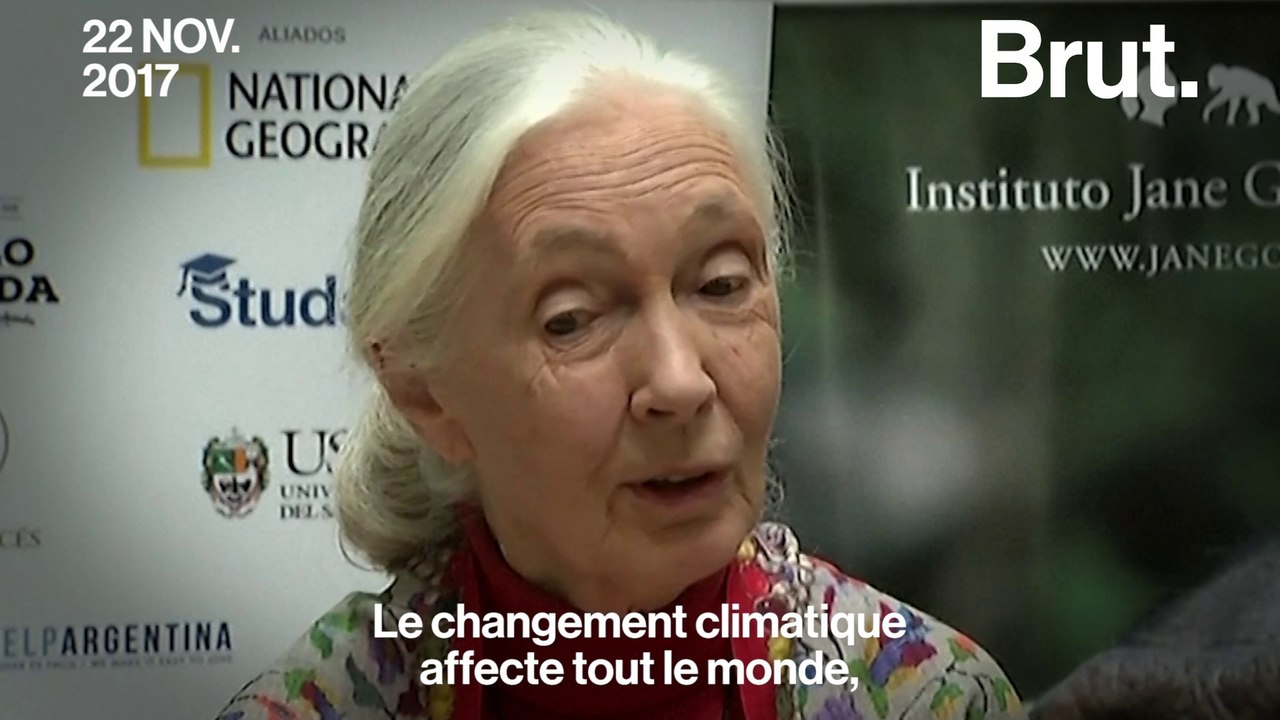 Jane Goodall : "la Chine montre l'exemple en matière d'écologie"