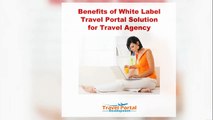 Benefits of white label travel portal solution for travel agency