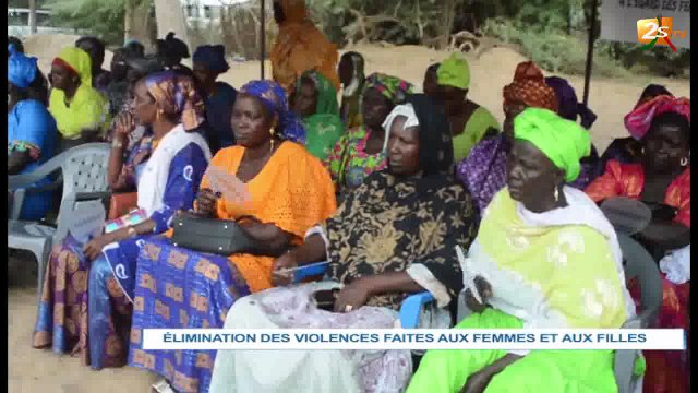 ÉLIMINATIONS DES VIOLENCES FAITES AUX FEMMES ET AUX FILLES