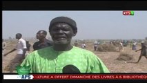 Reeni Kom Kom (recolte champs Serigne Abdoul Aziz Sy Almine 2017)