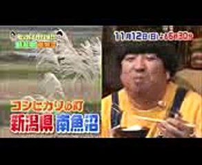 関ジャニ∞ 横山＆大倉が虜に! 極上のコシヒカリがスタジオに登場!! 1112(日)『バナナマンのせっかくグルメ!』【TBS】