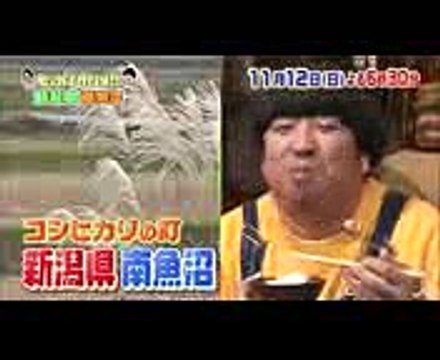 関ジャニ∞ 横山＆大倉が虜に! 極上のコシヒカリがスタジオに登場!! 1112(日)『バナナマンのせっかくグルメ!』【TBS】