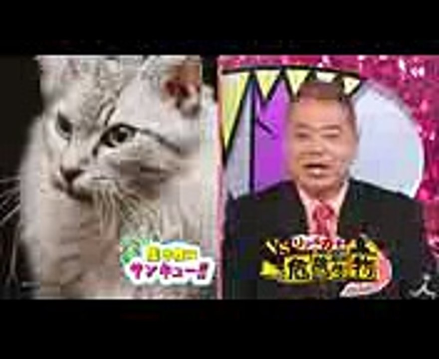 ヒアリだけじゃない! 外来危険生物を捕獲!! 726(水)『生き物にサンキュー』＆『 VSリアルガチ危険生物』合体3時間SP!!【TBS】