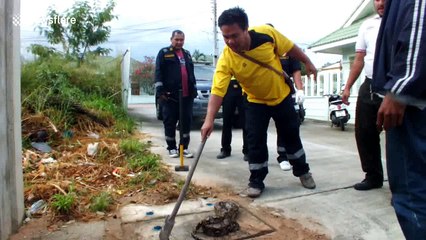 Snake freed from manhole cover using cooking oil