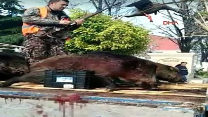 Antalya Kemer Prof. Dr. Öztürk Genç Kızlar Evlenene Kadar Hastalığını Gizliyor