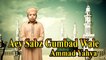 Ammad Yahya - Aey Sabz Gumbad Wale