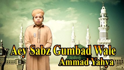 Ammad Yahya - Aey Sabz Gumbad Wale