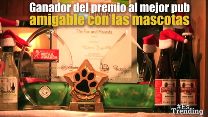 ‘Pub’ para perros: un lugar exclusivo que enamorará a tus mascotas