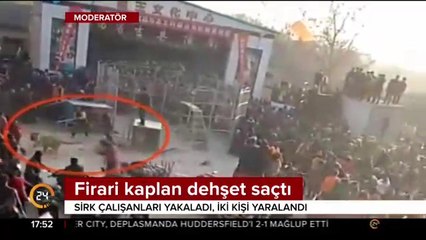 Firari kaplan dehşet saçtı