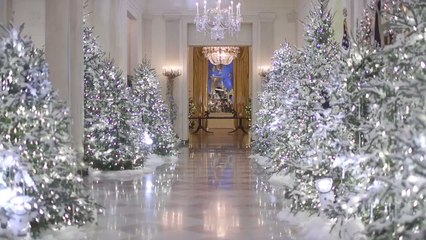 Subtlety Not in Season as White House Holiday Decorations Revealed