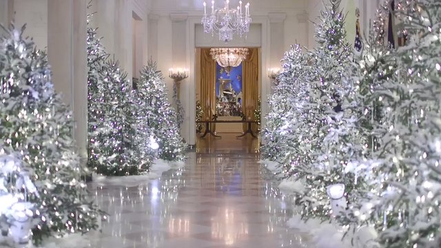 Subtlety Not in Season as White House Holiday Decorations Revealed