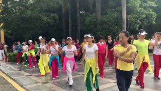深圳广场舞 灵芝公园鬼步舞
