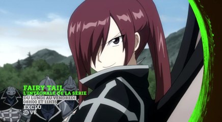 Bande-annonce : Fairy Tail, l'intégrale