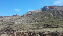 Tunceli'de Dağ Keçilerinin Ölüm Sebepleri Tespit Edildi