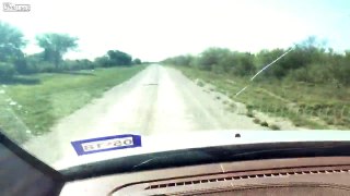 Texas Rattlesnakes on the move