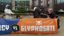 L'UE finit par renouveler le glyphosate pour 5 ans