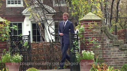 Prince Harry to marry Meghan Markle next year