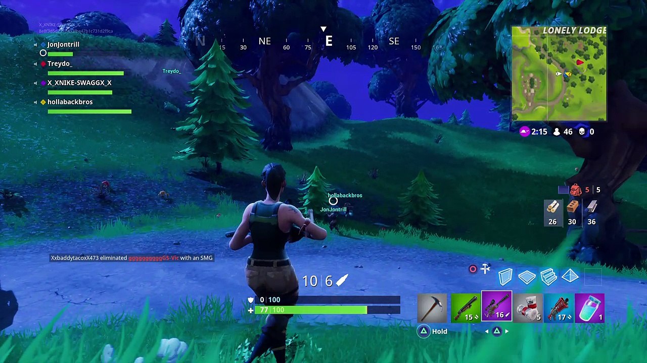 Fortnite_20171121221357