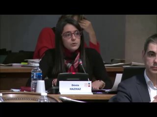 Dénia HAZHAZ. Interventions dans le domaine culturel. 27 novembre 2017