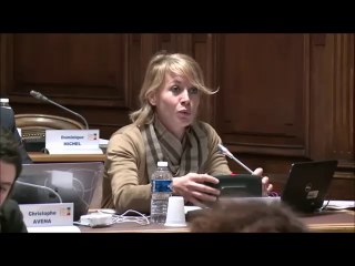 Nathalie KOENDERS. Egalité professionnelle Hommes-Femmes au sein du département. 27 novembre 2017