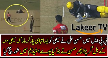 Sammy's Exciting BPL Journey ⚾