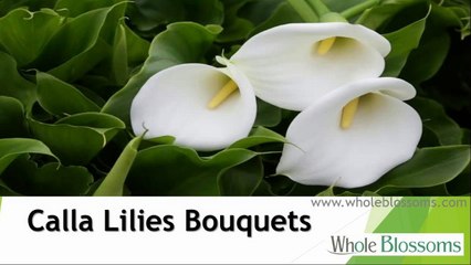 Download Video: Calla Lilies Bouquets - www.wholeblossoms.com