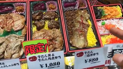 Osaka Ekiben & Shinkansen Adventure (Shin Osaka Station)