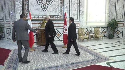 Polonya Dışişleri Bakanı Waszczykowski Tunus'ta