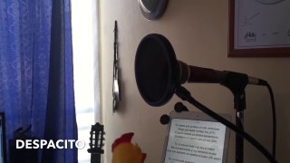 Despacito Version Poulet (Mr. Chicken)