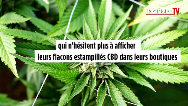 Cigarette électronique : nous avons testé les e-liquides aux extraits de cannabis