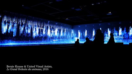 Entretien avec Gilles Boeuf - Le Grand Orchestre des Animaux - 2016