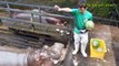 Amazing Hippo Attacks!!! Hippo vs Lion, Zebra, Wild Dogs, Buffalo, Crocodile, Car, Boat