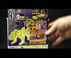 仮面ライダー 響鬼ヒビキ ディスクアニマル09 コガネオオカミ Kamen Rider Hibiki Disk Animal Koganeookami