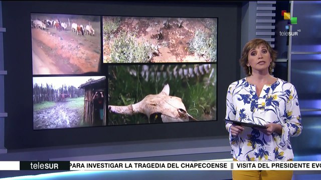 Kenia: comunidades de pastores han sido históricamente marginadas